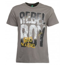 United Colors Of Benetton Gray Printed Round Neck T-Shirt